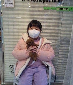 푸들 분양후기 [23.01.13]