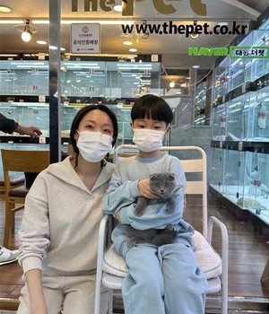 스코티시폴드 분양후기 [23.03.11]