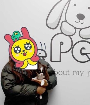 치와와 분양후기/중리점 [23.03.13]