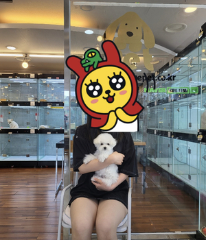 비숑프리제 분양후기 [23.07.24]