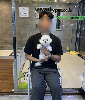 비숑프리제 분양후기 [23.08.23]