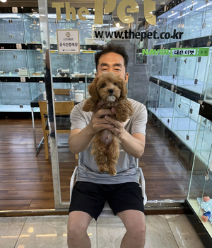 말티푸 분양후기 [23.06.11]