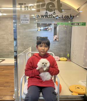 포메라니안 분양후기/중리점 [23.10.08]