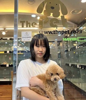 푸들 분양후기 [23.07.05]