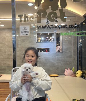 말티즈 분양후기 [23.10.04]