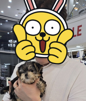 몰키 분양후기 [23.09.18]