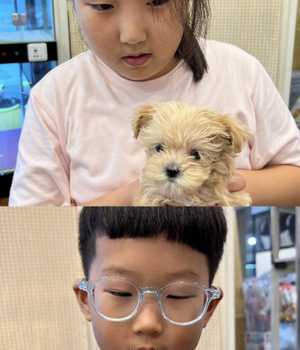 말티푸 분양후기 [23.08.19]