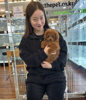 푸들 분양후기 [23.03.23]