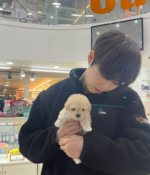 말티푸 분양후기 [23.11.11]