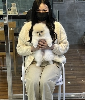 포메라니안 분양후기 [23.04.07]