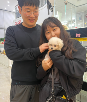 푸들 분양후기 [23.10.18]