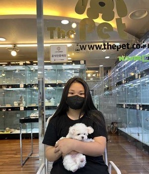 비숑프리제 분양후기 [23.06.01]