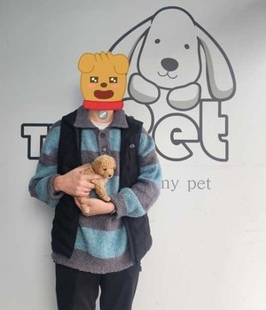 푸들 분양후기/중리점 [23.03.01]