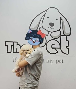 푸들 분양후기/중리점 [23.07.06]