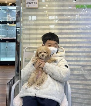 푸들 분양후기 [23.01.07]