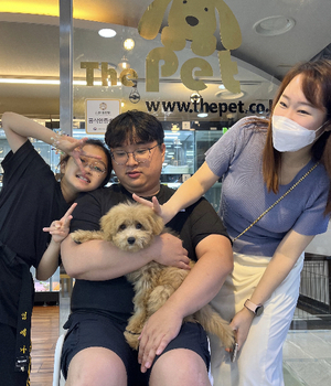 말티푸 분양후기 [23.08.04]