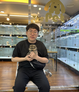 포메라니안 분양후기 [23.07.23]