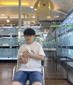 포메라니안 분양후기[23.05.20]