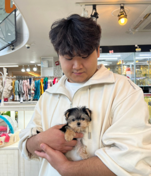 몰키 분양후기 [23.10.29]