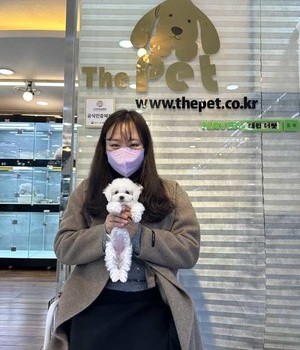 비숑프리제 분양후기 [23.01.02]