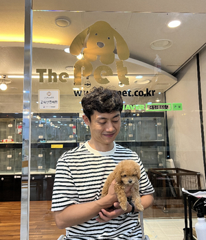 푸들 분양후기 [23.08.13]