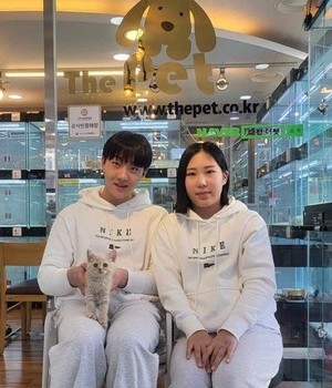 브리티쉬숏헤어 분양후기 [23.02.25]