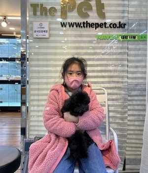 푸들 분양후기 [23.01.04]