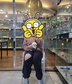 말티푸 분양후기 [23.04.29]