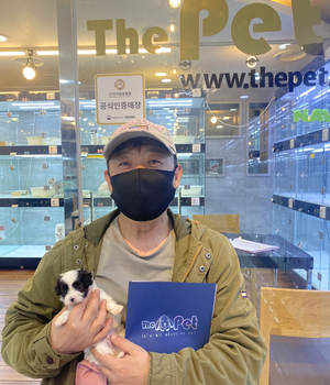 말티푸 분양후기 [23.04.29]