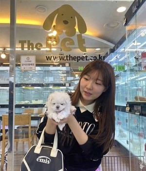 말티즈 분양후기 [23.03.26]