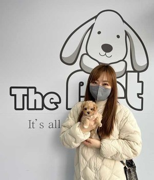 말티푸 분양후기/중리점 [23.03.04]