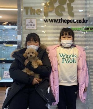 푸들 분양후기 [23.01.23]