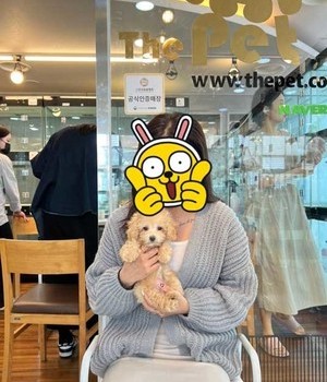 말티푸 분양후기 [23.04.07]