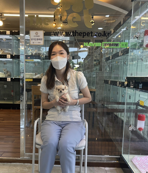 치와와 분양후기[23.05.19]