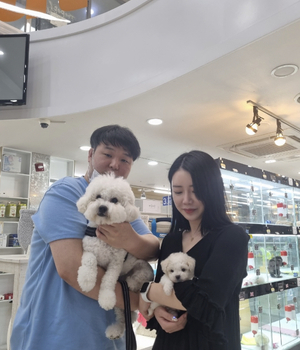비숑프리제 분양후기 [23.08.13]