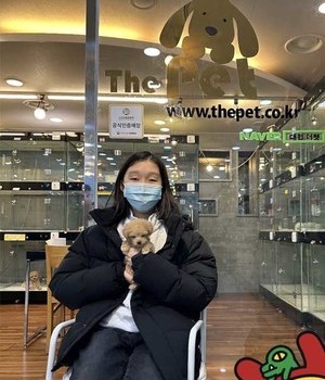 푸들 분양후기 [23.02.24]