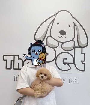 푸들 분양후기/중리점 [23.06.04]