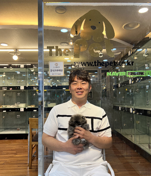 포메라니안 분양후기 [23.06.17]