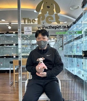 푸들 분양후기 [23.03.24]