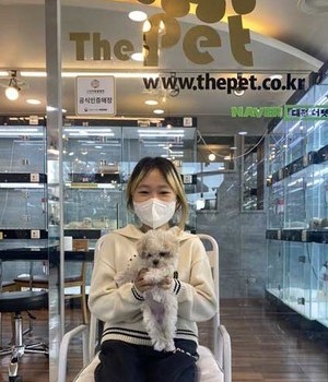 말티푸 분양후기 [23.02.19]