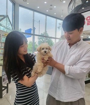 말티푸 분양후기[23.05.27]