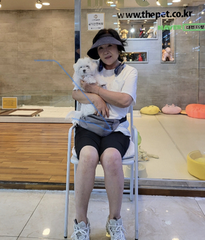 말티즈 분양후기 [23.09.12]