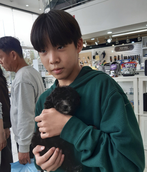 푸들 분양후기 [23.10.03]