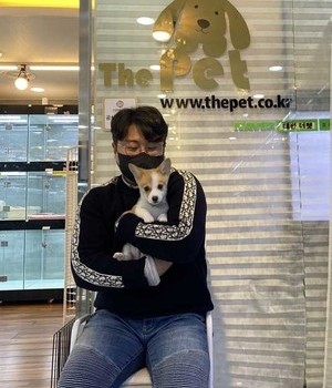 웰시코기 분양후기 [23.01.07]