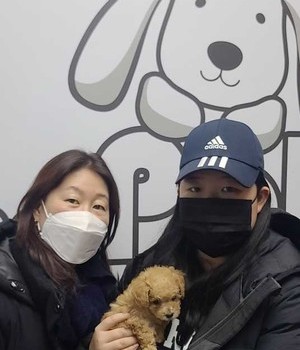 푸들 분양후기/중리점 [23.01.23]