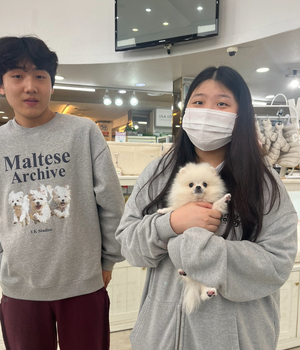 포메라니안 분양후기 [23.11.04]