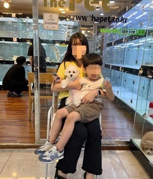 푸들 분양후기 [23.07.18]