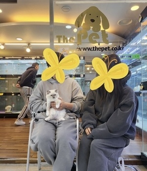 렉돌 분양후기 [23.04.08]
