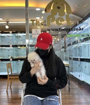 폼피츠 분양후기 [23.04.16]