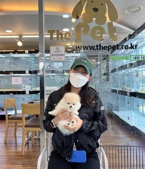 포메라니안 분양후기 [23.04.02]